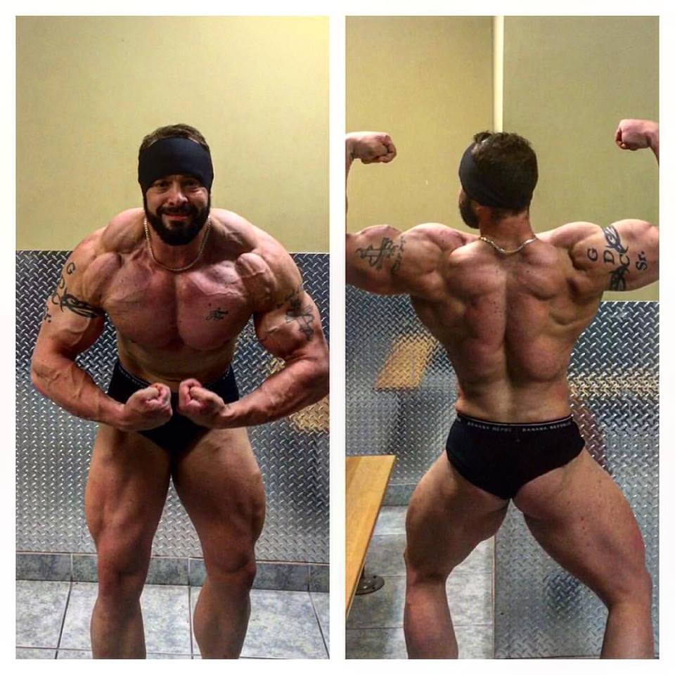 ABNScience's tweet image. THE KING'S ARMY UPDATE: Grover is 4 weeks out from his show. I see his progress and I can't help but smile