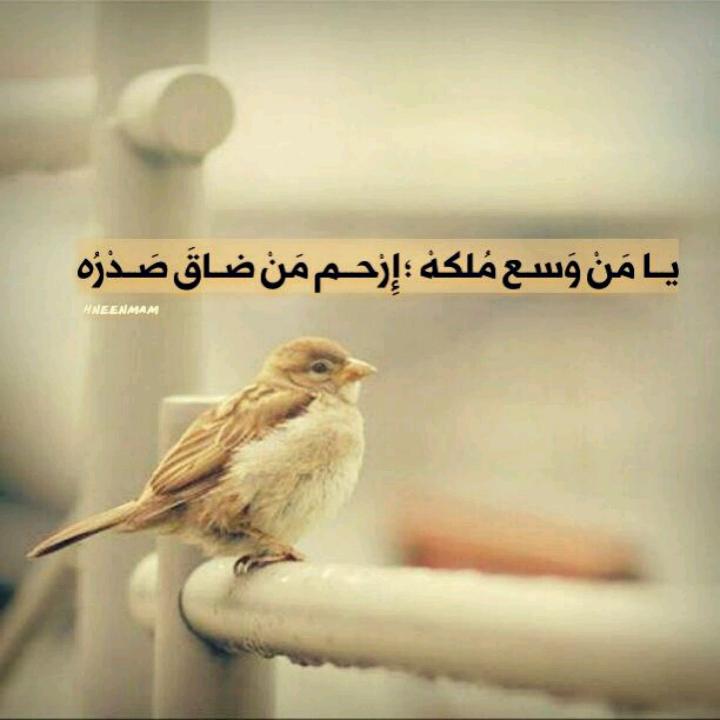 Al_Zh37's tweet photo. يا مَنْ وسِعَ مُلكهُ ؛ أرحم مَنْ ضَاقَ صدرُهُ . http://t.co/JNkOlrWWqx