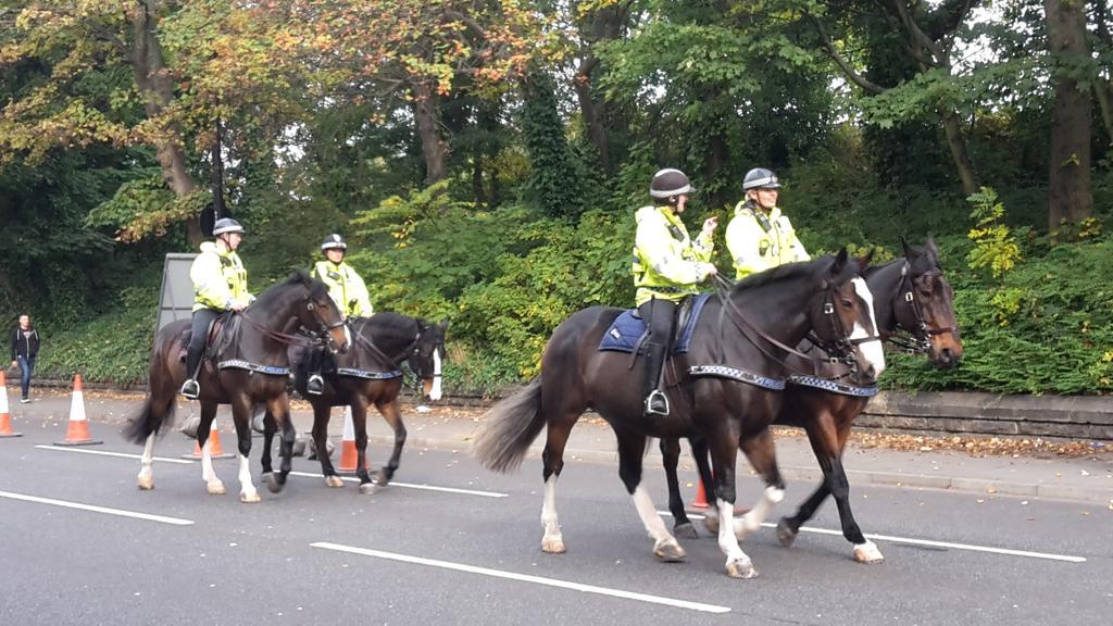 Nice to see @northumbriapol  horses on #barrackroad for the #RWC2015  in #Newcastle today