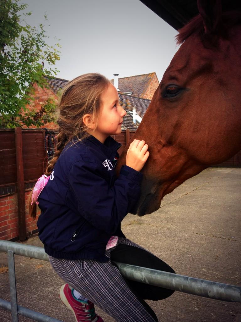 Lucy_Fallen's tweet photo. I think she's in love @HughesDressage @ClassicRebecca #RubyandCruise http://t.co/mIemLEGOii