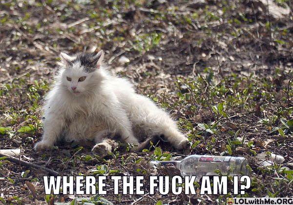 mashtunpub's tweet photo. Shake your hangovers off, we've got #howjam in later ready to make you feel like this tomorrow. #Brighton http://t.co/Xhv3bAtlOk