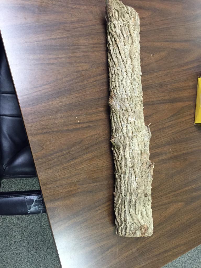 DecaturLazarius's tweet image. THE WOOD!! #layit #build #the #fire #rideon 7-0😤