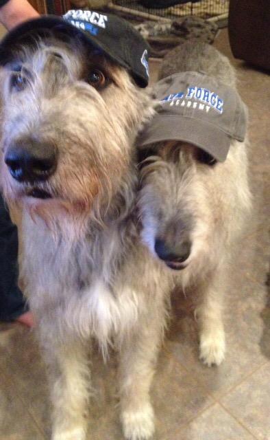 CubsLover4Ever's tweet photo. #PowerOfBlue #GoAirForce #boltbrotherhood #intheairandontheground #excellenceinallyoudo #WeFlyTogether http://t.co/TiMEMMOlvH
