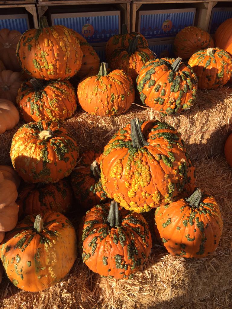 bethlaurenze's tweet photo. @fall @halloween http://t.co/IR8WF6fI3w