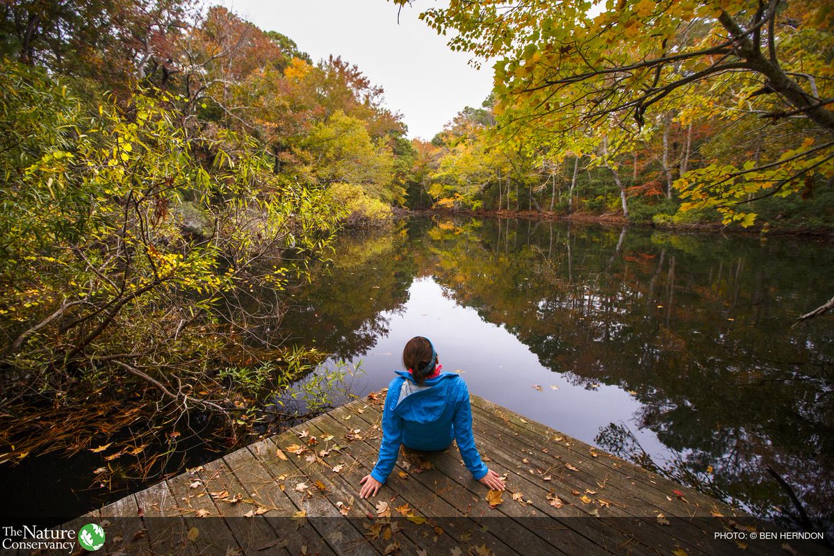 nature_org's tweet photo. Facebook is down? We've got a great backup plan: Get outdoors http://t.co/PSMQChN9pR