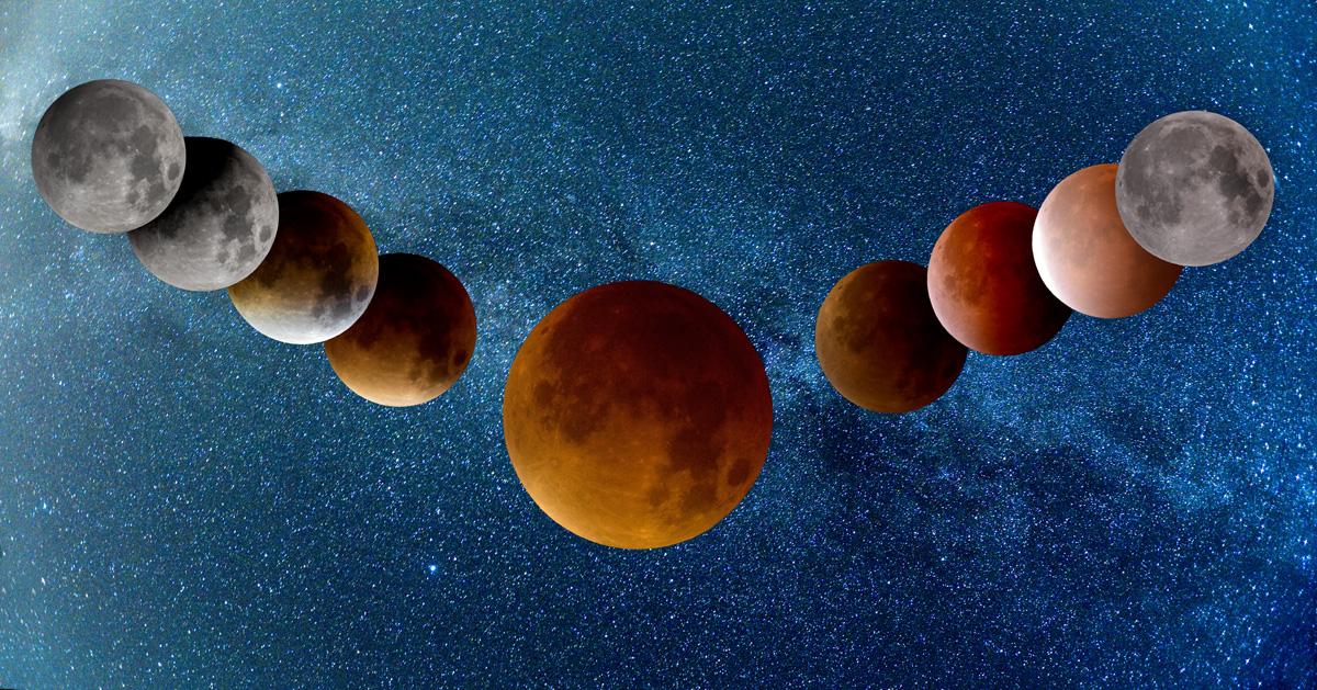 Collage of the eclipse <a href="/TomlinsonsCafe/">@BirdInBushElsdon</a> @NorthumberlndNP <a href="/RNorthumberland/">Radio Northumberland</a>