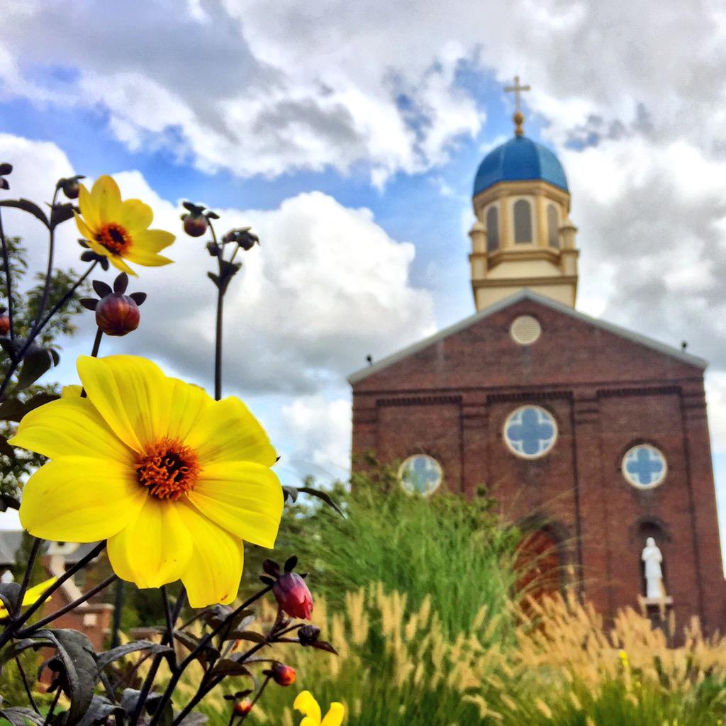 univofdayton tweet picture