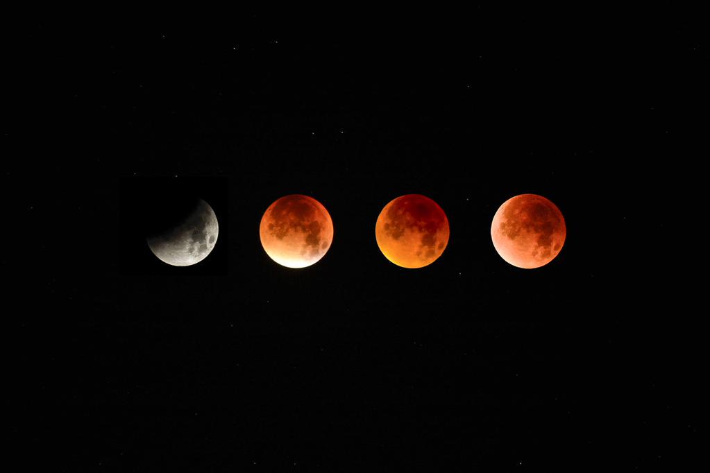 Weekend_Rebel's tweet image. A few phases of the #SuperBloodMoon last night... #photography