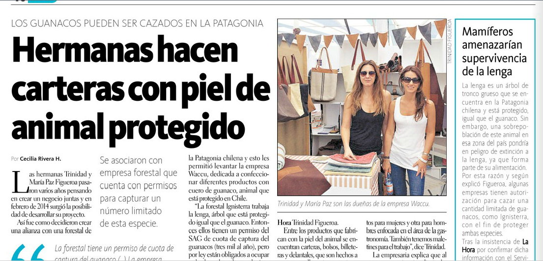 geraldinedolo's tweet photo. ¡Qué mierda esta noticia @DiarioLaHora! Justificando matanza de #Guanacos porque hay sobrepoblación! #Waccu que mal. http://t.co/5yemRqSmob