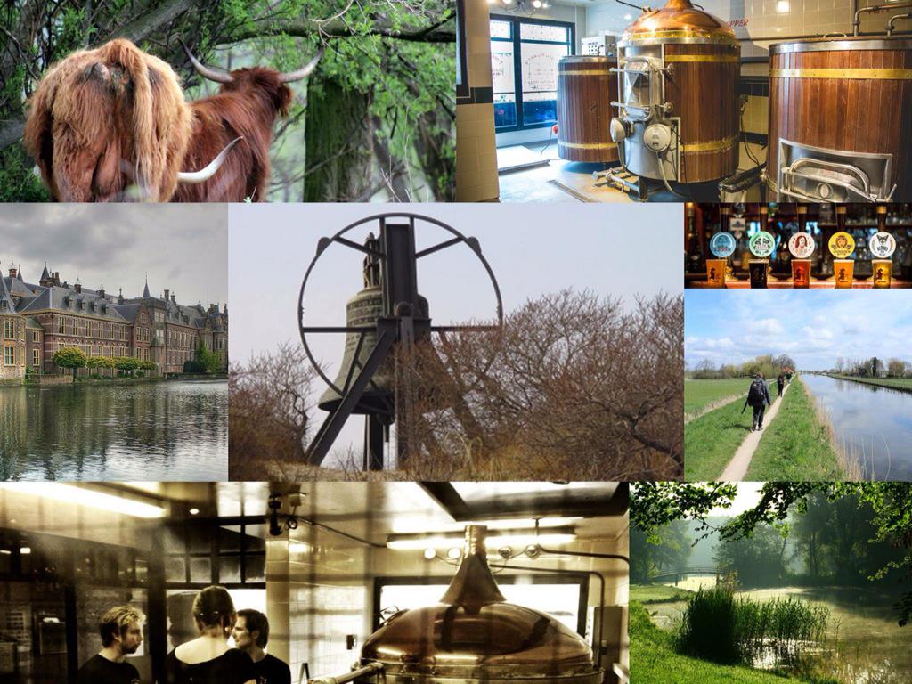 Zondag 25 oktober: #wandelen #Meijendel, #Den Haag, #Bier en #the Fiddler