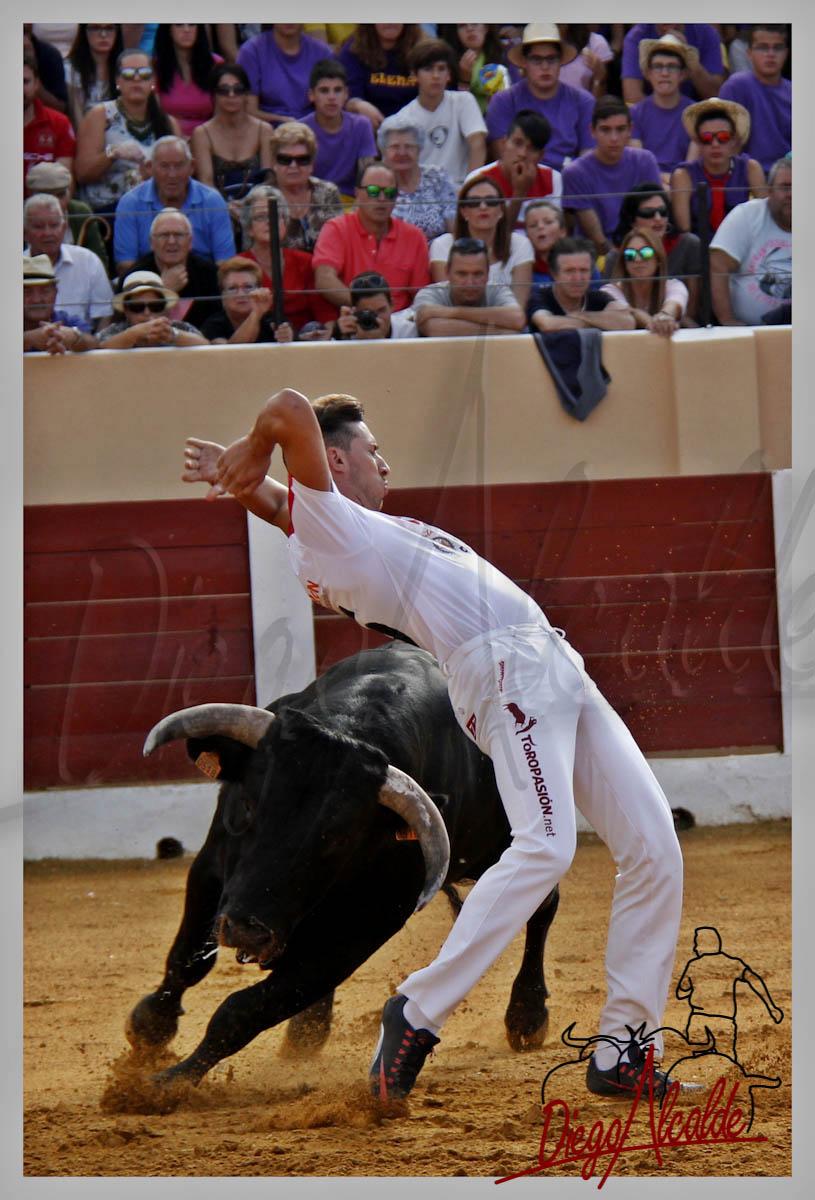 #CORTEPURO #TORERIA #TEMPLANZA <a href="/cristianmoras90/">Cristian Moras</a> <a href="/Ehtoroeventos/">ehtoro.com</a> #OLMEDO15 #CONCURSO