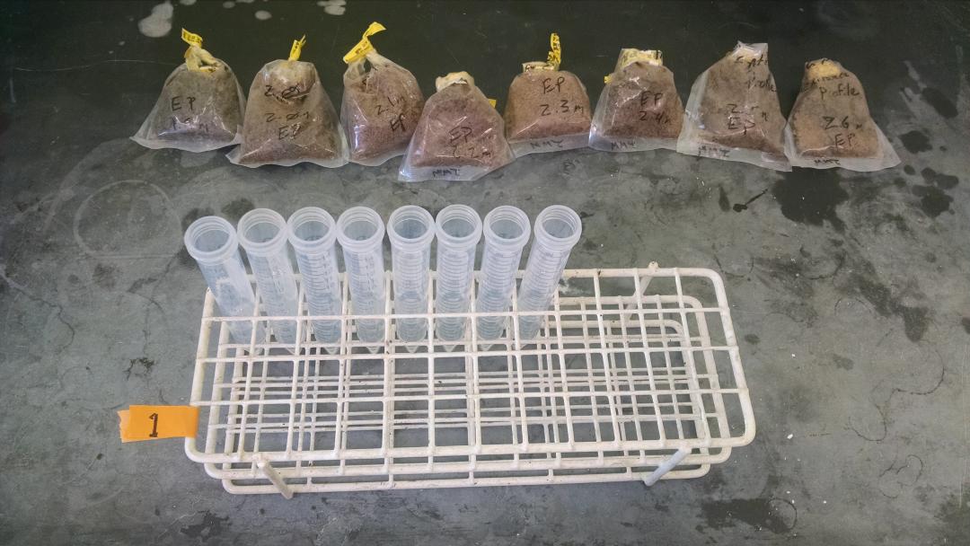 BisonJeff's tweet photo. Working on processing #pollen  today #CaveBison Yippee http://t.co/kuQaXFrLmo