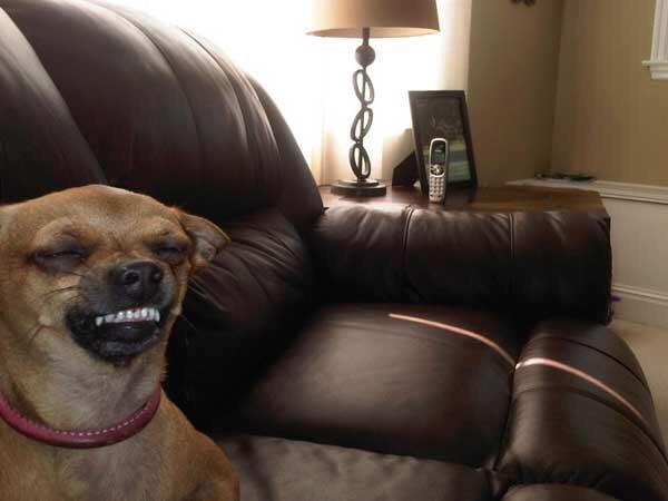 when your friend compliments on the girls instagram she was just talking shit on a few days ago