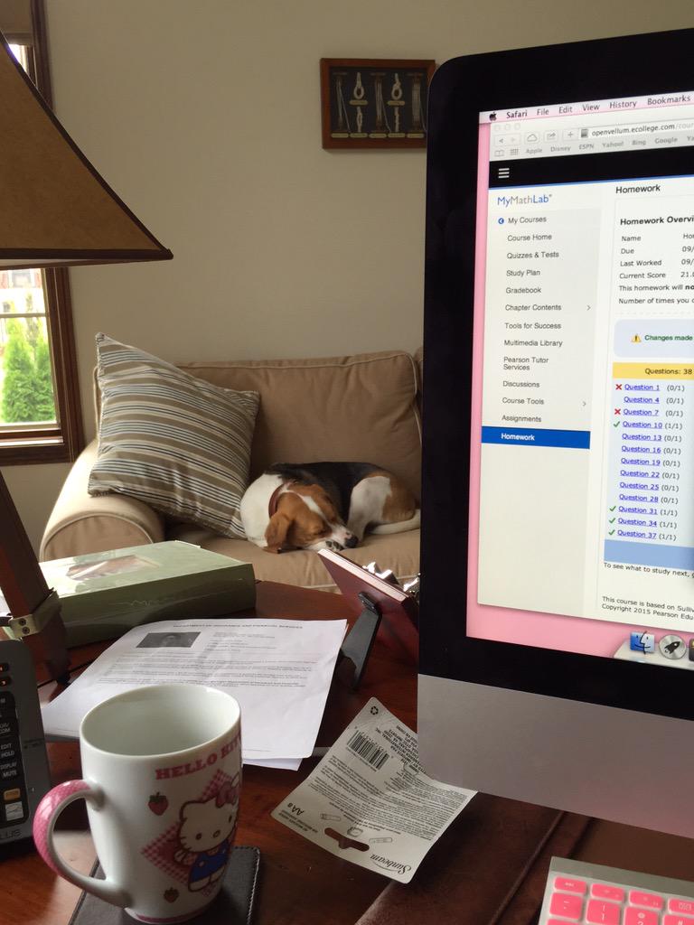 axelthebeagle's tweet photo. Helping sis do homework #smartbeagle http://t.co/1lPmtrVhLs