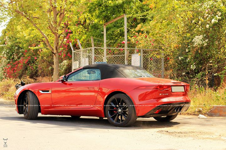 sigautomotive's tweet photo. Carnivorous.

Jaguar F-type V6 S

#Jaguarusa #rjaditi #SIG 

@JaguarUSA @Jaguar 
@JaguarUK @JaguarCanada http://t.co/ft21e4vAXV