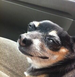 AutisticDarling's tweet image. when your friend compliments on the girls instagram she was just talking shit on a few days ago