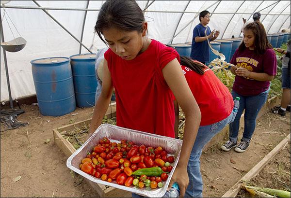 MUEducation's tweet image. Ariz. charter school prepares Navajo students for college: go.mu.edu/1UWzYwy #edchat #schools #nativeedu