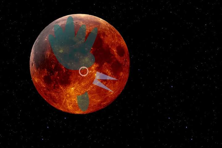 galodoardelvcvs's tweet photo. Kikirikiii!!!

O eclipse lunar máis espectacular da pasada noite puido verse dende o meu curral!!! Abraiado!!! http://t.co/jC0jtS1GSD