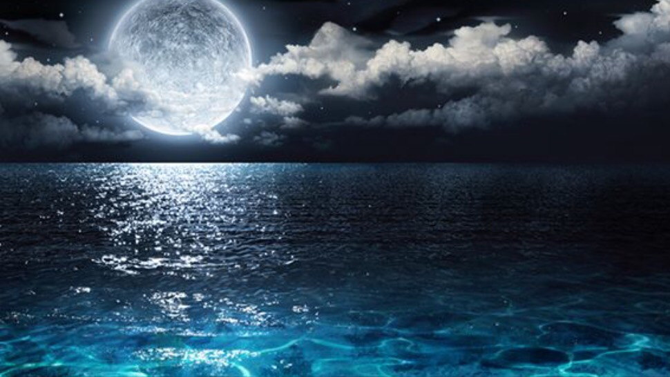 the_inertia's tweet image. 5 Reasons Why You Should #Surf Under This #FullMoon. Even if it’s small you know you want to: theinertia.com/surf/5-reasons…