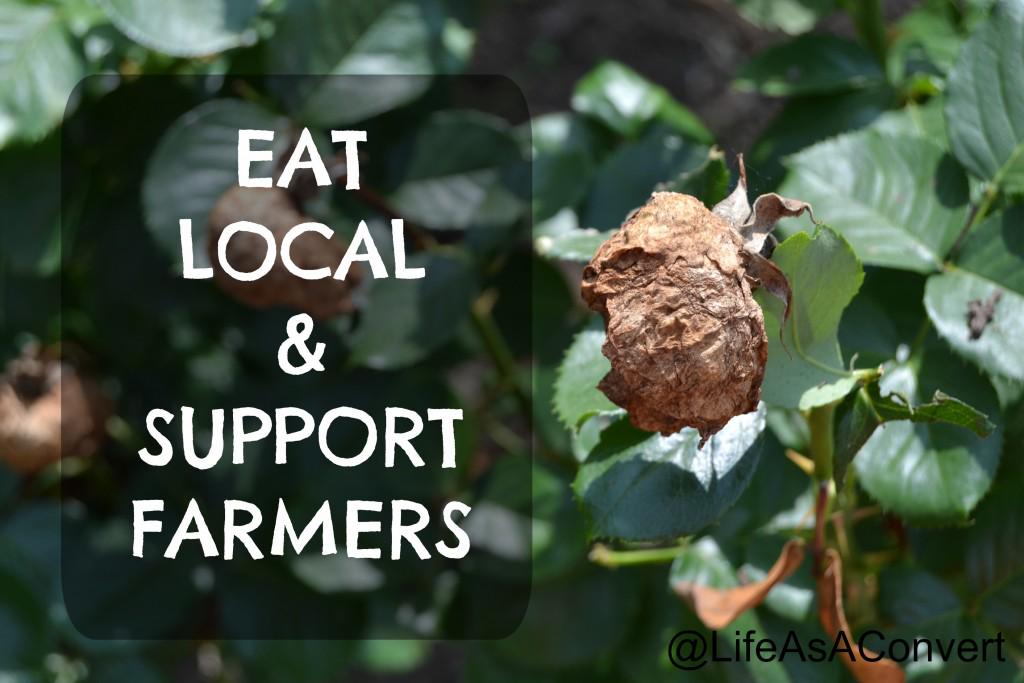 wayneplantation's tweet photo. Eat local. Support farmers. #Farm2Home15 http://t.co/Wtf6o9UUvj @LifeAsAConvert #arkansasfood #sunfloweroil http://t.co/wemBPcLQ8E