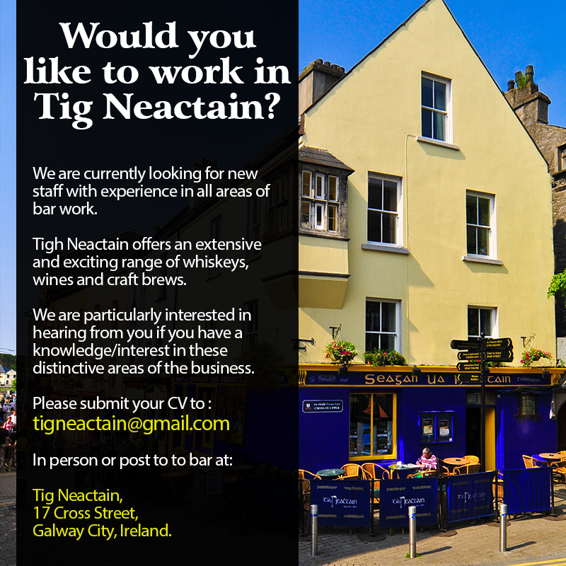 We need new staff! send Your C.V or tell a friend :)