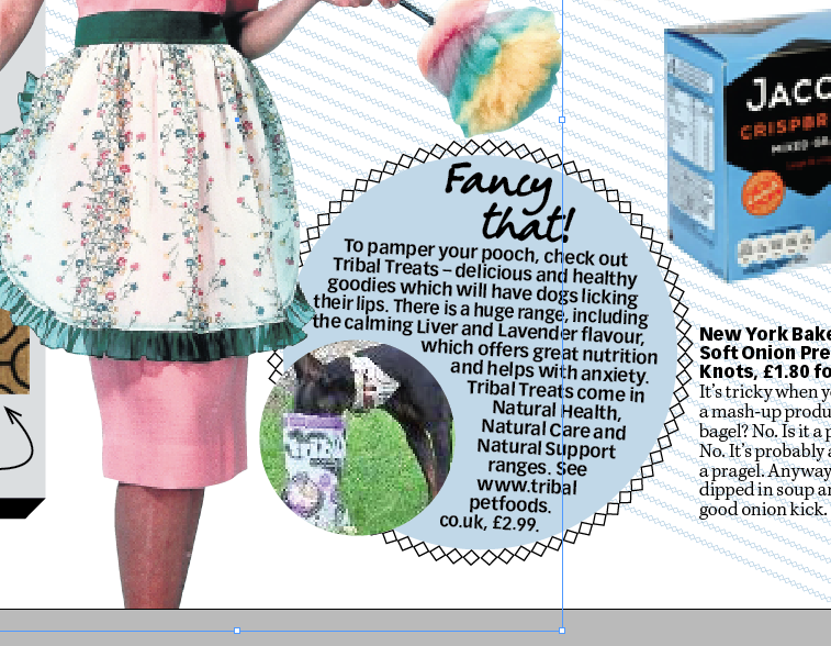 DextersDiaries's tweet photo. Look at me in @Sunday_Mail I'm enjoying @TribalPetFoods liver &amp; Lavender treats! Yummy! http://t.co/eaUHB3PwwJ