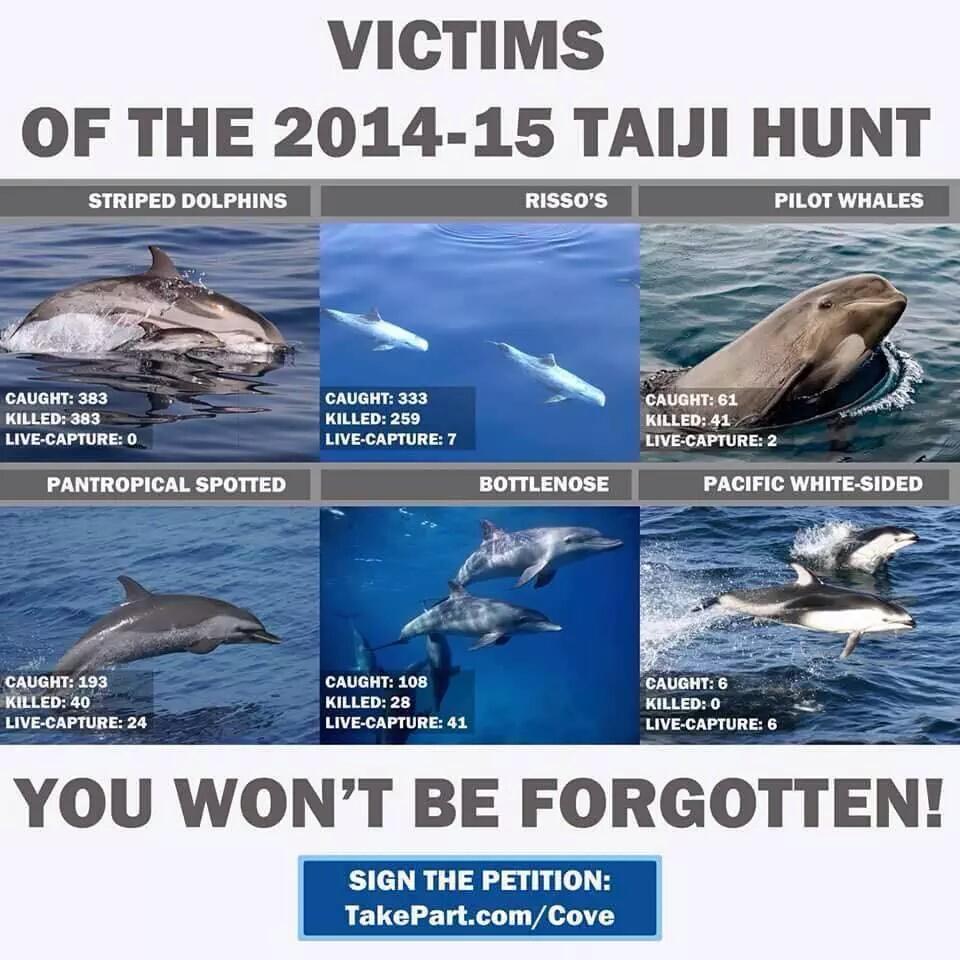 SeaWorldTT's tweet photo. While #anticaps fight for the first pic, #procaps fight for the second. Who cares about animals? Who is selfish? http://t.co/6J3CBE2miS