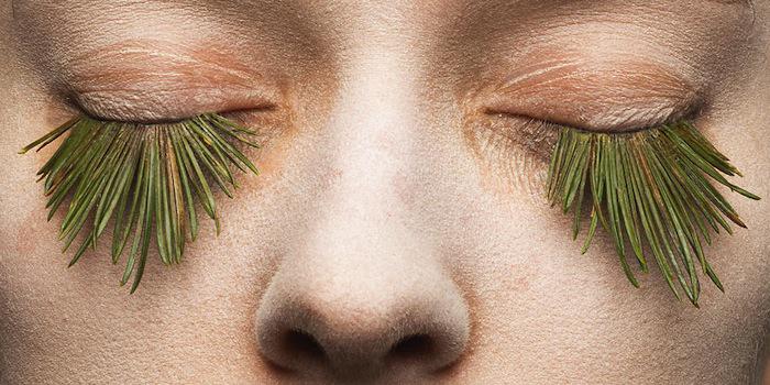 ignantmag's tweet photo. Eyelashes made of eggs, snow and plants by Mary Graham http://t.co/z2H4C08vrM #art http://t.co/hctgjASKiH