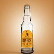 @Bill_FirstBev It was good to meet you there and listen to your presentation... Hope you enjoyed #Sirgingerbeeer