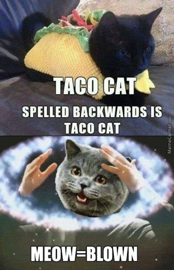 Cruzroom (@cruzroompdx) on Twitter photo 