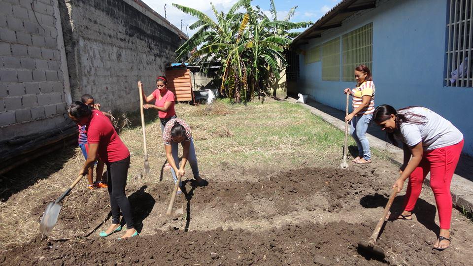 #junin abono organico con lombriz y preparacion de terrenos <a href="/juninescolar/">SalaJunínZET</a> <a href="/uelamonta/">UE LA MONTA</a>