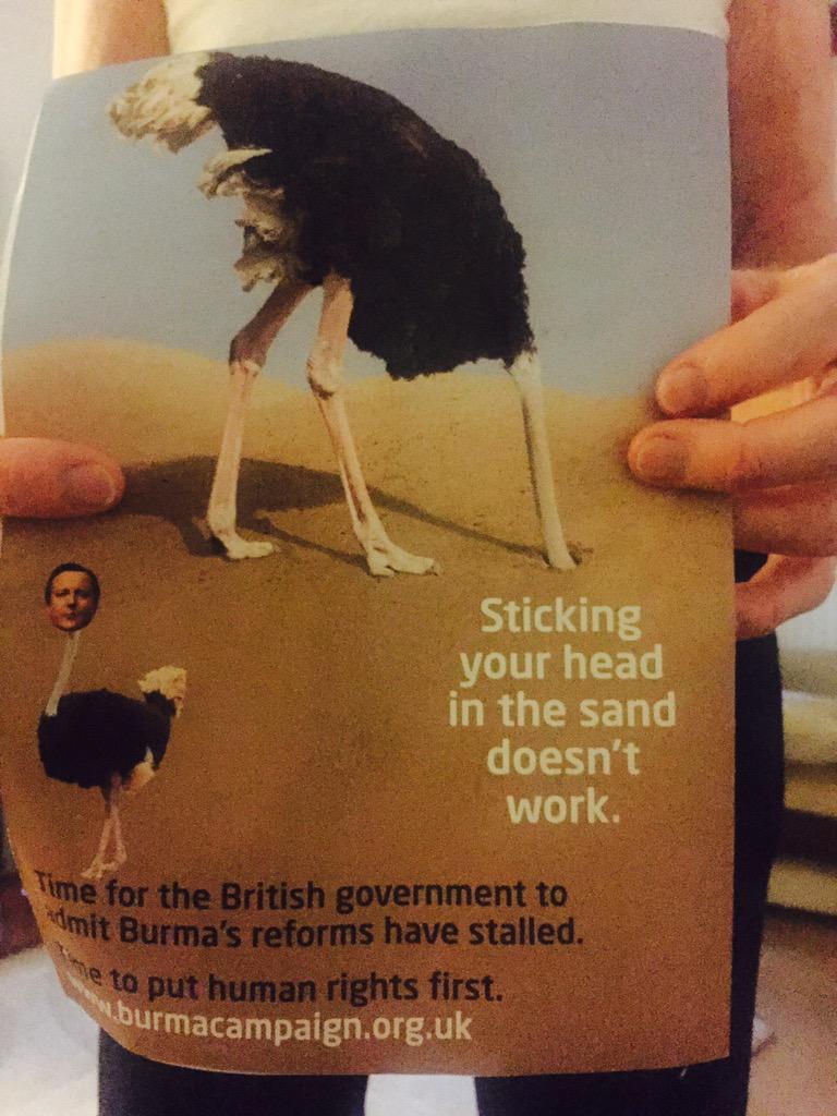 #quoteoftheday Sticking your head in the sand doesn't work #meditation #sthelenshour #sthelens