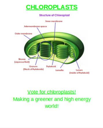 chloroblast5's tweet photo. @murphyapbio http://t.co/5bh15fgb8H