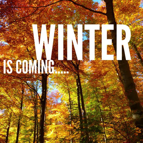 Feeling the cold? If you suffer from #arthritis #chiropractic could help! Click chiropracticfirstleeds.co.uk/blog for more info