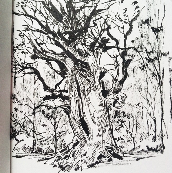 Some studies before lunch 