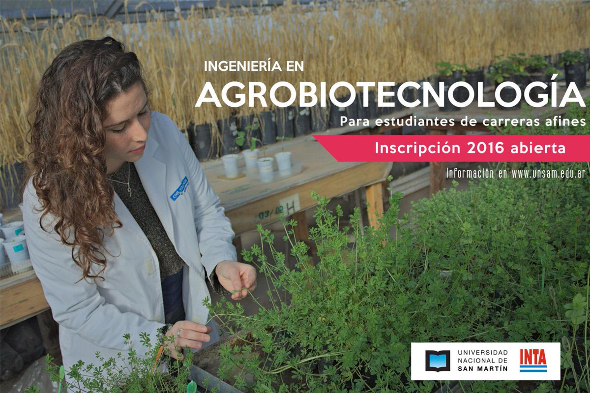 IIBINTECHchascomus tweet media