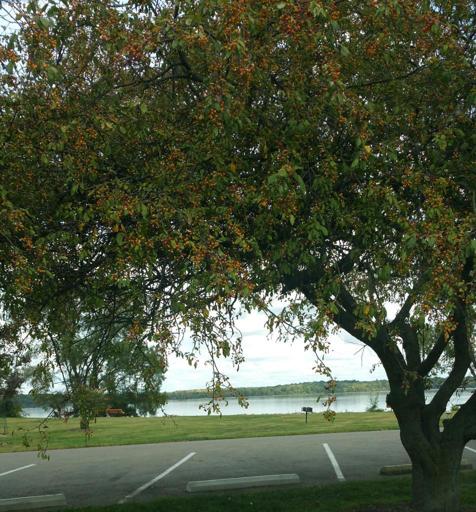 TravelingLube's tweet photo. Wouldn't you rather be fishing or anywhere instead of wasting valuable time waiting for an #oilchange #wesaveyoutime http://t.co/tsnCoxkpHg