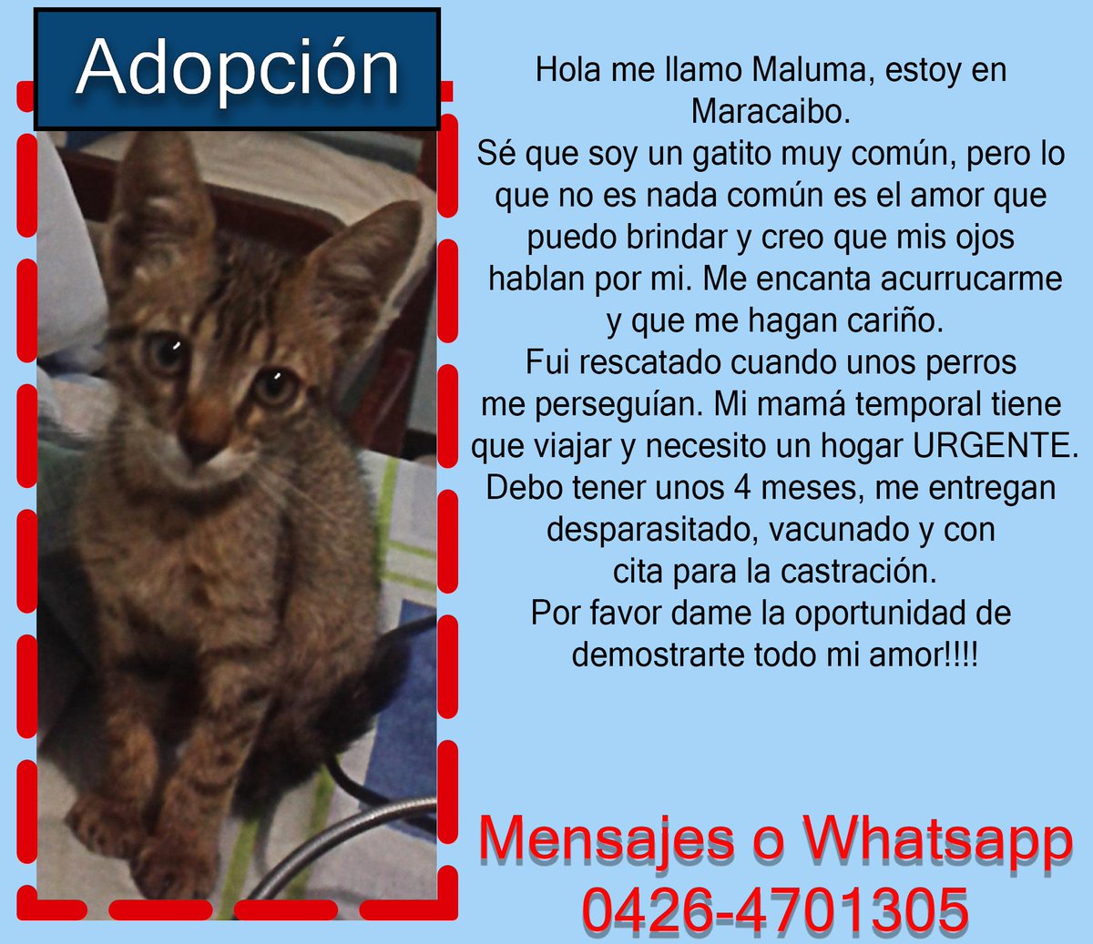 MundoMaracaibo tweet media