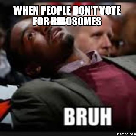 ragingribosomes's tweet photo. @MrHeitkamp #organellewars http://t.co/dh8J49hLv7