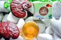 ganoexcel_bd's tweet image. Gano i cleanse facial bar.