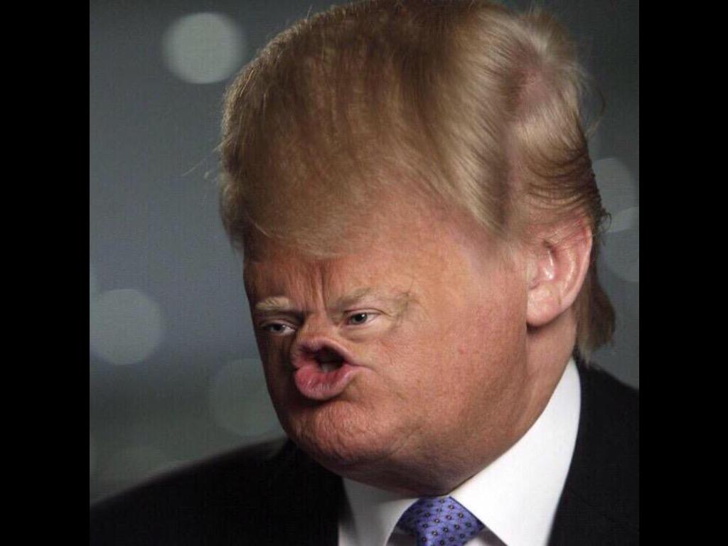 MarkoCooks's tweet image. @realDonaldTrump