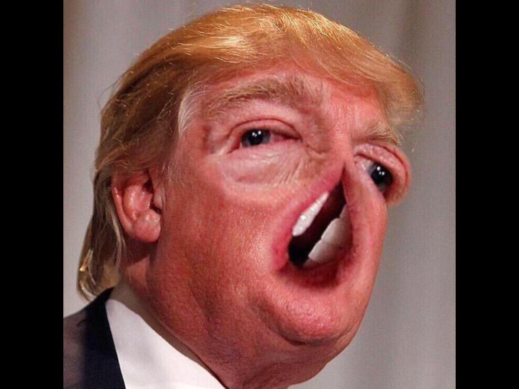 MarkoCooks's tweet image. @realDonaldTrump