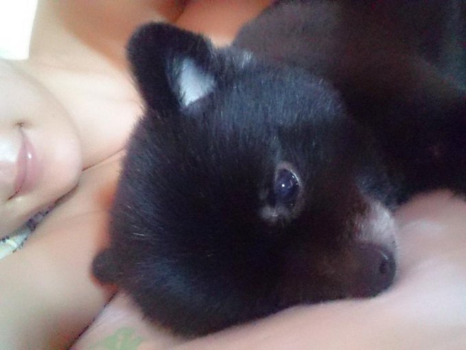 おはよう\(◦&acute;-`◦)/♡今日は、ユリアと、寝たよ(&acute;///&omega;///｀)♡ http://t.co/VzH0oOLeG0