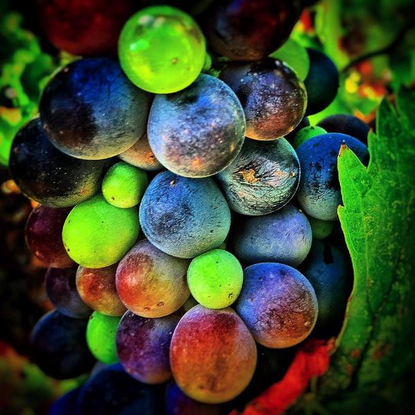 HindsightWine's tweet photo. Taste a different kind of rainbow. http://t.co/xHnMJwxhCz