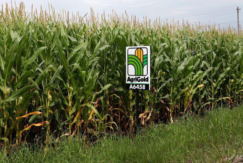 foodtank's tweet photo. "Food diversity has fallen, leaving farmers vulnerable to environmental disasters." http://t.co/tjjOoLjRHJ @takepart http://t.co/RUGrxmWGqN