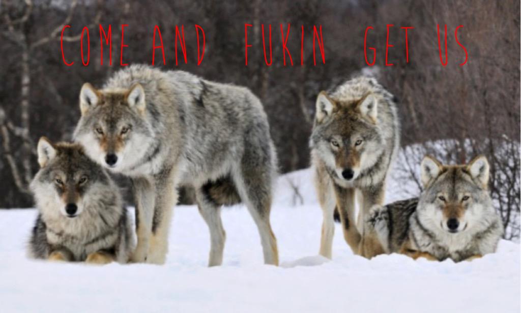 <a href="/unit7gym/">unit 7 asw</a>