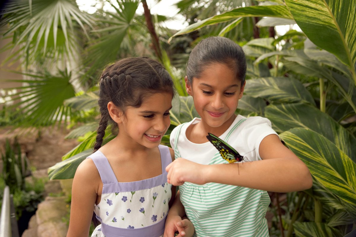 NiagaraParks's tweet photo. See over 2,000 colourful tropical butterflies floating freely at our Butterfly Conservatory: http://t.co/g6c6wPNfid http://t.co/GWsg1ETcKP
