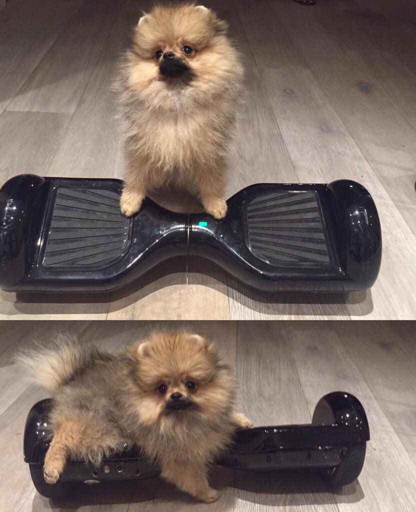 jim_pom1's tweet photo. Just bagged myself @theairrunner from @Selfridges - can you offer any tips @sterling7 @FinallyMario #jimpom http://t.co/iOrBFtK7eN