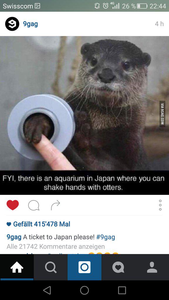 Ich will! Jetzt! Sofort! @hellohlina <a href="/watson_news/">watson News</a>