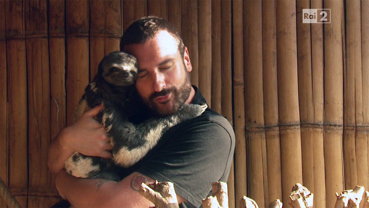 PechinoExpress's tweet photo. MALATENEREZZAAAAA? 😍 #pechinoexpress http://t.co/GMCYxwCtyX